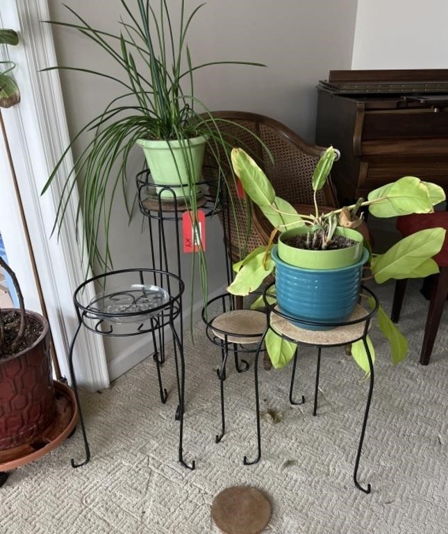 Four Plants And Stands