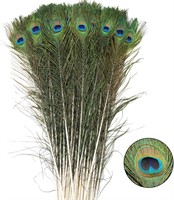 iHUFeather 15 PCS Real Natural Peacock Eye Feather