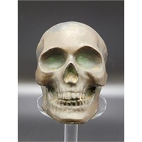 Desktop Anatomically Correct Bronze Skull