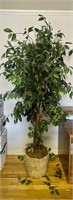 Artificial Ficus Tree 6.5ft.