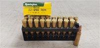 20 Rounds Remington 22-250 Rem