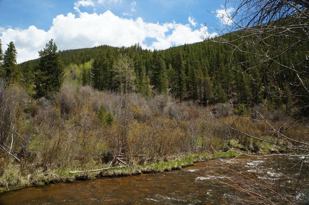 Roosevelt Property Colorado- 40 AC. -Real Estate Foreclosure