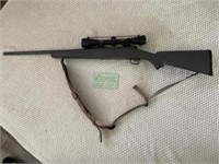 Stevens Model 200 25-06 Rem Gun