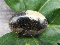 SEPTARIAN CABOCHON ROCK STONE LAPIDARY SPECIMEN