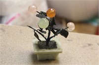 Small Jade Tree