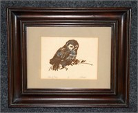 Bird of Prey Framed Art w/ Signature