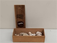 COLLECTION OF CORALS IN WOOD ALBERTA SPRINGS BOX