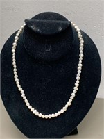 NEW FRESHWATER PEARL NECKLACE