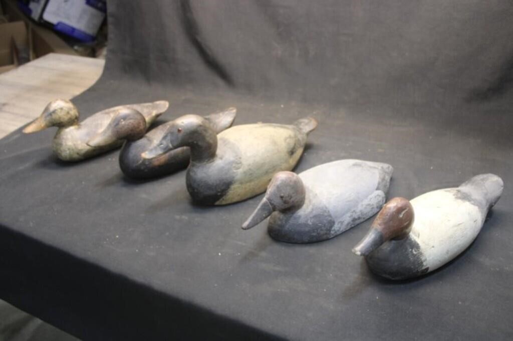 5 - Vintage Red Head/Canvasback Decoys