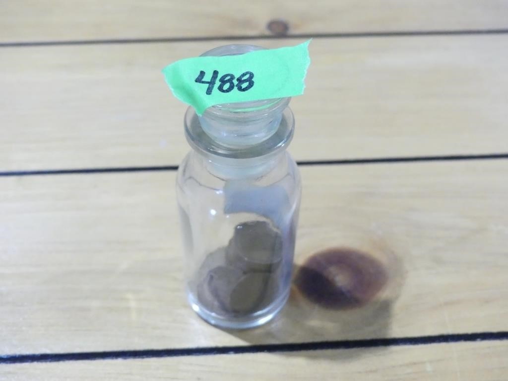 15 USA Wheat Pennies in Glass Container