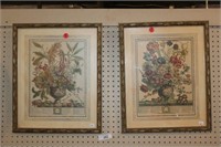 Pair of Botanical Prints in Nice Frames