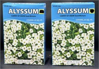 2ct Alyssum 2oz Carpet of Snow Seed Mixture Boxes