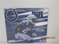 2016 Colts Wall Calendar