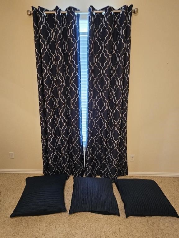 2- Curtain Panels, 3- Pillows, + Shower Curtain