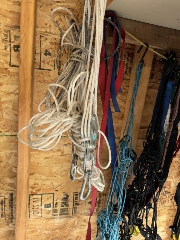 MISC.  TIES/STRAPS LOT