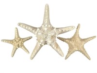 3 Lg Starfish