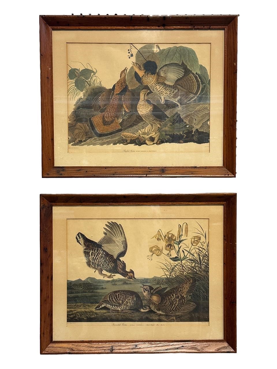 2- Vintage Prints  by J.J Audubon