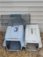 Two Pet Taxis and One Trap