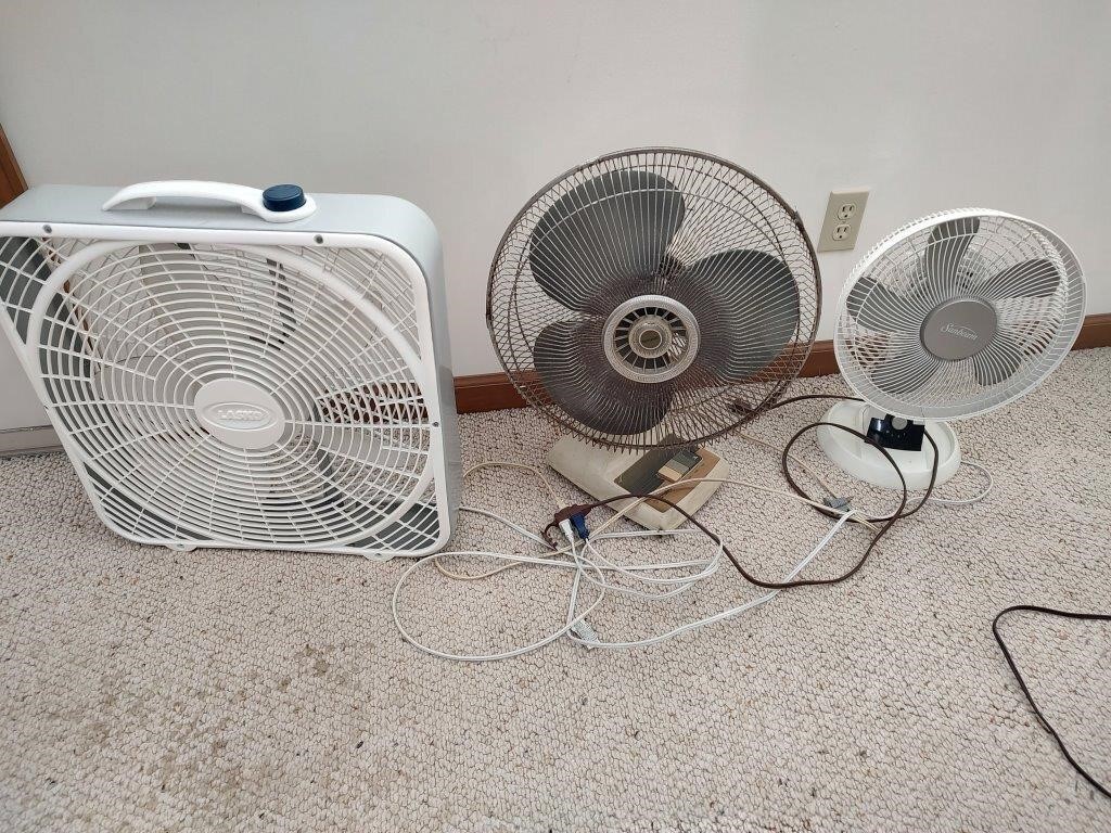 3 Fans