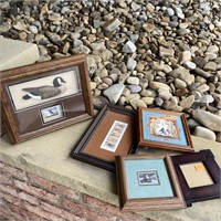 Duck Stamps and Frames