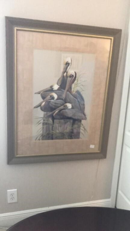 Signed framed print of Pelicans