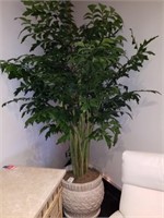 Tropical Tree w/ Planter