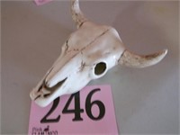 CERAMIC COW SKULL