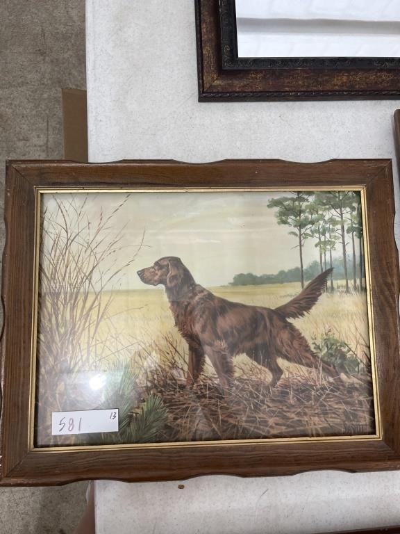 Vintage Savitt Framed Irish Setter Dog Print