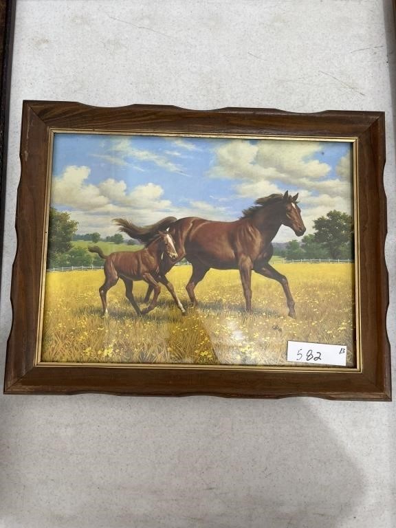 Arthur Saron Framed Horse Print