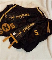 Spiceland Stingers gym shorts, pennants banner,