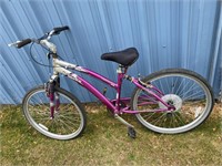 Purple next aluminum frame bicycle