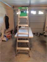 Werner Aluminum Ladder (6 ft.)