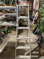 Werner 6' Aluminum Ladder