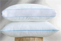 New Johalaide Down Alternative 2 King Pillows