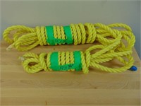 (2) Lengths Of Nylon Rope