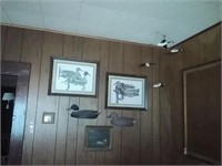 Duck Pictures & Wall Hangings