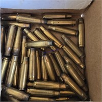 308 Winchester Cases
