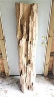 Driftwood approx 5ft tall