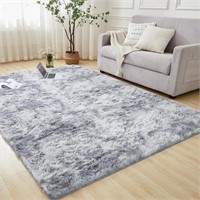 Andency 3x5 Shag Area Rug for Living Room