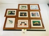 8pcs framed frog art