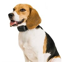 Premier Pet Bark Adjustable Collar - Black