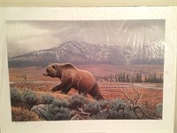 Yellowstone Mist - Grizzly Print By Jerry Gadamus