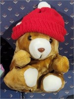 Teddy Bear W/Red Toboggan