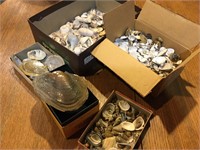 Boxes of Old Shells