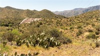 Arizona Commercial Gold Mines-Real Estate-Development