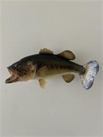 Large Mouth Bass Mount