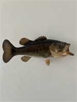 Large Mouth Bass Mount