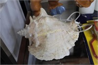 CONCH SHELL NIGHT LIGHT