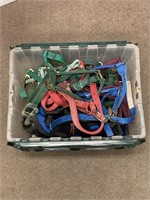 Container of Harnesses and Misc Horse Items