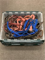 Container of Halters